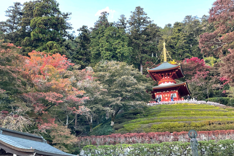 Kyoto: Private guided Tour with English speaking guide