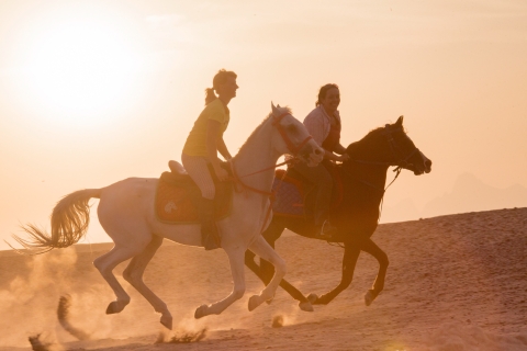 Hurghada: quad, wielbłąd, przejażdżka konna z grillem i obserwacją gwiazdWspólna wycieczka