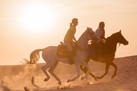 Hurghada: Paseo en quad, camello y caballo con barbacoa y observación de las estrellasVisita compartida