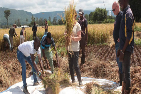 Ngorongoro & Manyara Explorer with Cycling 3-Day Scenic Safari & Cycling Escape