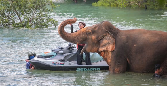 Phuket: Jet Ski 5-7 Island Hopping & Ethical Elephant Visit