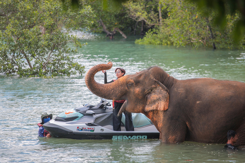 Phuket: Jet Ski 5-7 Island Hopping & Ethical Elephant Visit Shared Ride (Rider + Passenger) | 2H - 5 Stop Experience