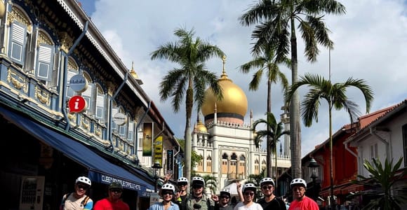 Singapore City Highlights Bike Tour (4-Hour Heritage Ride)