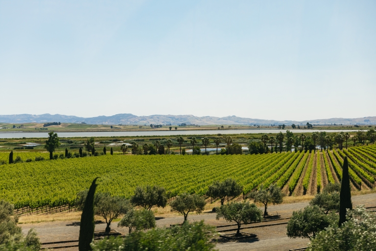 San Francisco: tour vinícola por Napa y Sonoma Valley