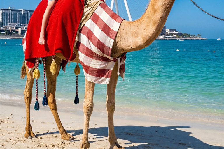 Dubai: Guided Camel Ride on JBR Beach with Skyline Views