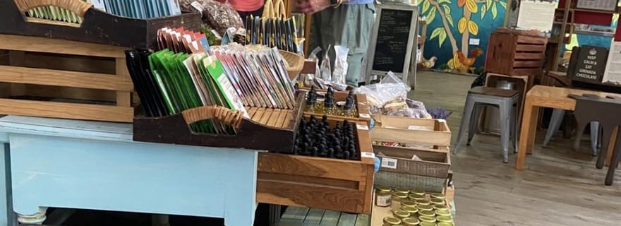 Goûtez et explorez la Grenade : voyage autour du rhum, du chocolat et des épices