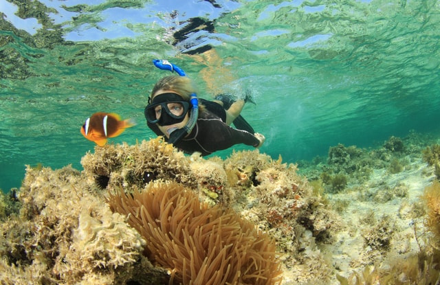 Sharm el-Sheikh: Ras Mohamed Snorkeling and Magic Lake Tour