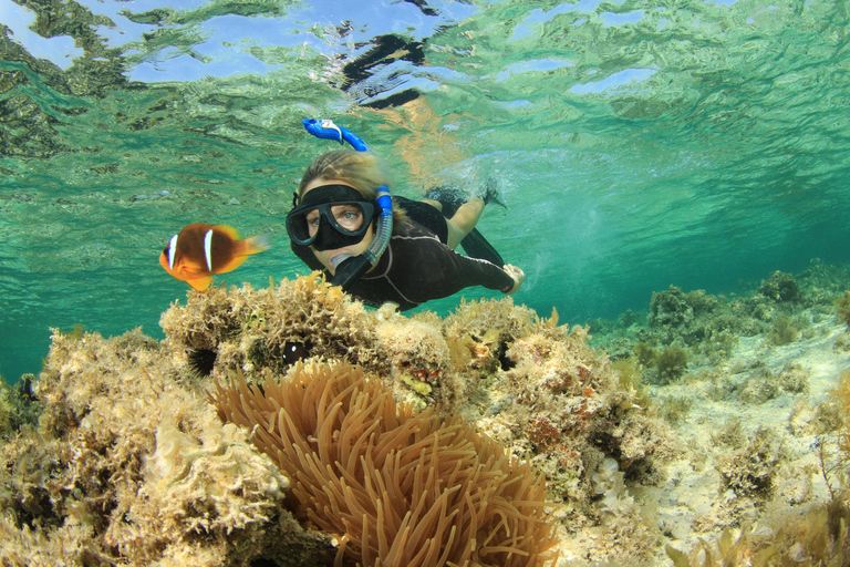 Sharm el-Sheikh: Ras Mohamed Snorkeling and Magic Lake Tour Shared Tour without Snorkeling Gear