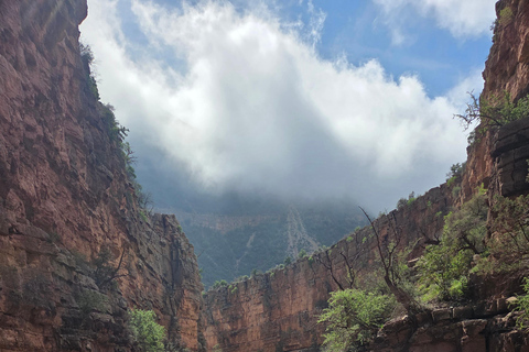 From Agadir/Taghazout: Paradise Valley Guided Tour with Hike