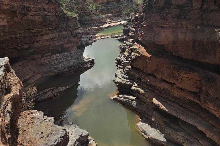 From Agadir/Taghazout: Paradise Valley Guided Tour with Hike