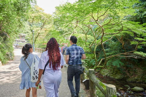 Osaka: Wandeltocht met gids naar Minoo waterval - 2,5uOsaka: 2,5 uur wandelen in Minoh