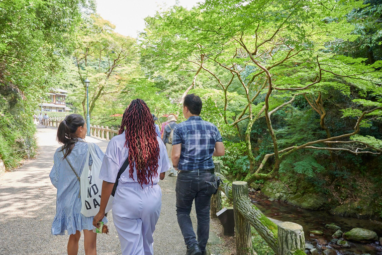 Osaka: Wandeltocht met gids naar Minoo waterval - 2,5uOsaka: 2,5 uur wandelen in Minoh