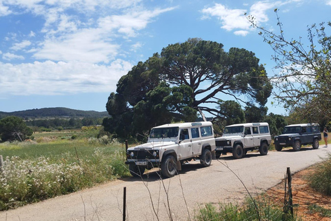 Ibiza: Jeep Safari Island Exploration Sunday to Friday with Pickup from Es Canar/Santa Eularia