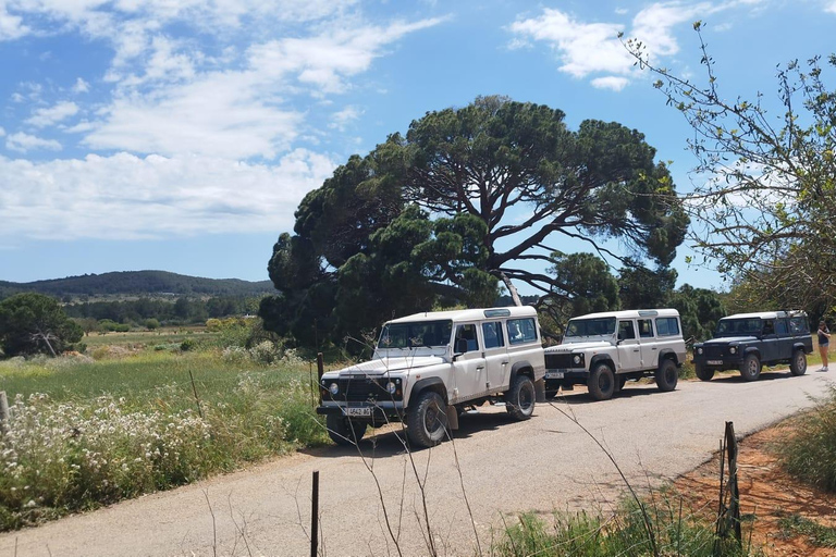 Ibiza: Jeep Safari Island Exploration Sunday to Friday with Pickup from Es Canar/Santa Eularia