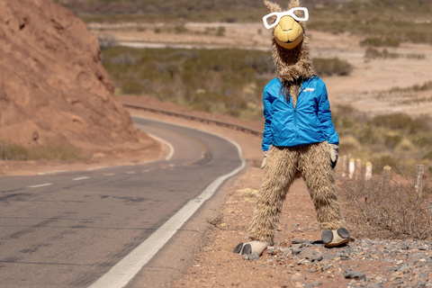 Cafayate: Tour de dia completo por bodegas y degustacion de vinos