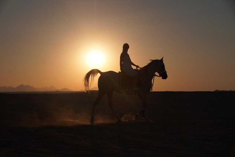 Sea & Desert Horse Riding Tour & Optional Private Photoshoot 2-Hour Horse Ride — Without Transfer (Entry Ticket Only)