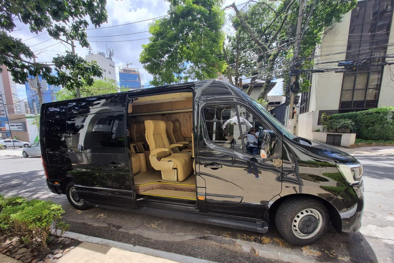 São Paulo 4 Hour Private Tour