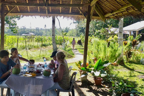 Bohol: Wasserfälle, Kajak, Wanderung durch die Hügel und private Tour zu den TarsiernBohol: Wasserfälle, Kajak, Wanderung durch die Hügel und private Tour zu den Tarsiers