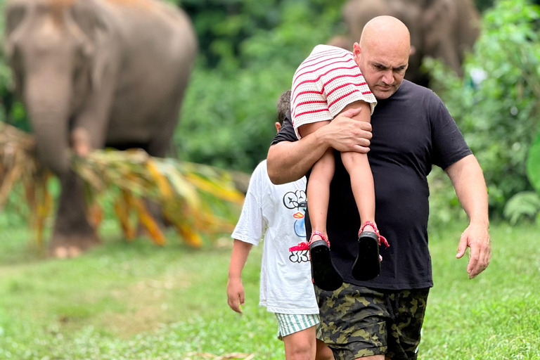 Chiang Mai Adventure: Rafting, ATV & Elephants Experience. Bamboo rafting (4km.) & 1 hrs. ATV.