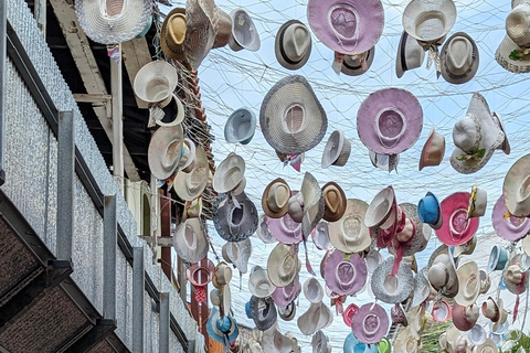 Panama City : Visite du canal, de la vieille ville et de la chaussée Amador