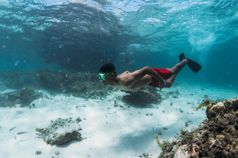 Ile Maurice Nord Est : Croisière en catamaran avec déjeuner BBQ