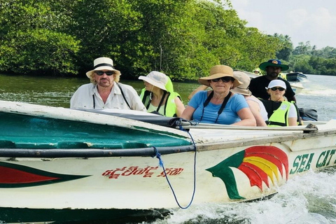 Colombo: Fuerte de Galle, Río Madu y Tortugas Tour privado de un día