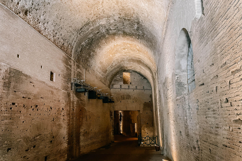 Rome: Domus Aurea Guided Tour and Virtual Reality Experience