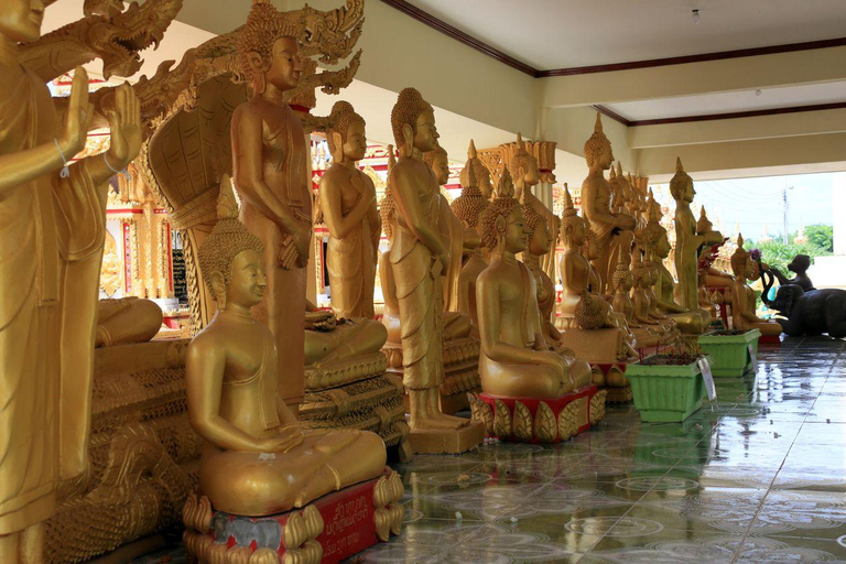 From Vientiane: 2-Day Private Tour to Pakse with Flight