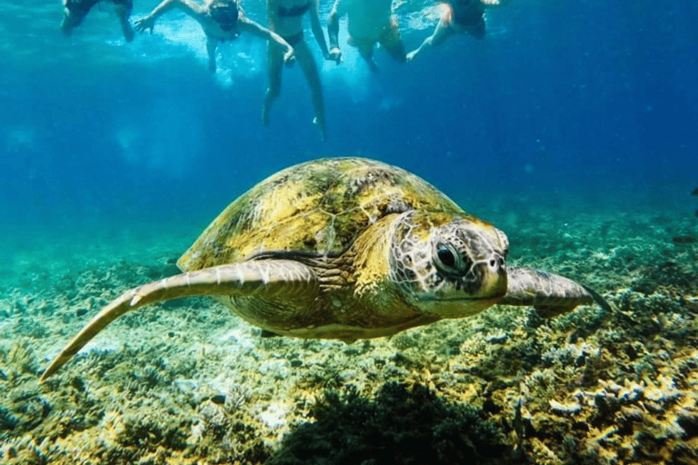 Koh Tao: Koh Nangyuan & Hidden Bays Snorkeling Tour w/ Lunch