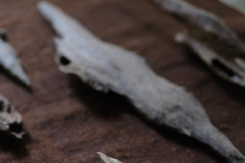 Hong Kong: Agarwood Incense-Making Workshop in Kwai Chung