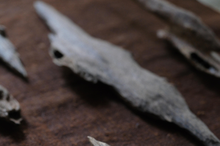 Hong Kong: Agarwood Incense-Making Workshop in Kwai Chung