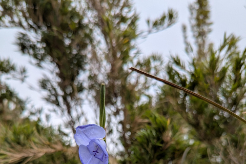 Rio de Janeiro ou São Paulo : circuit de 3 jours dans le parc national d'Itatiaia