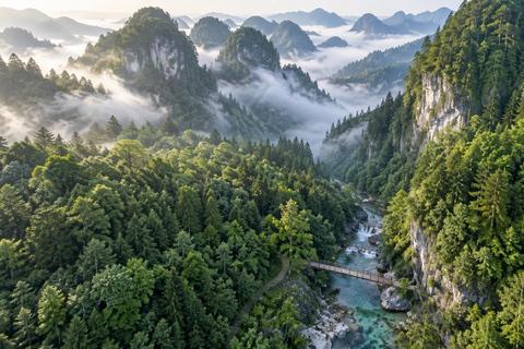 Chongqing: Youyang Taohuayuan Scenic Area Experience Youyang Taohuayuan: Private Transfer + English Guide