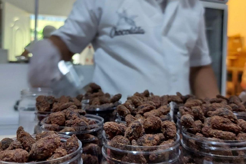 Puerto Plata: City Tour, Plantation, and Chocolate Factory