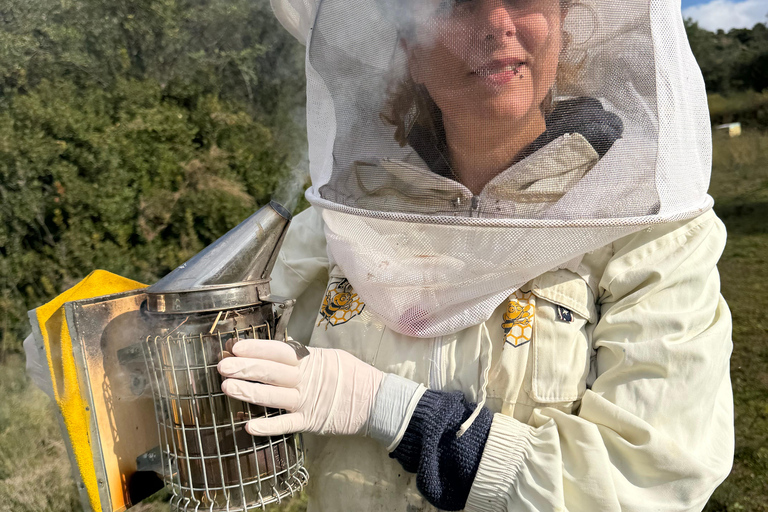 Kalamata: Beekeeping Experience with Honey Tasting