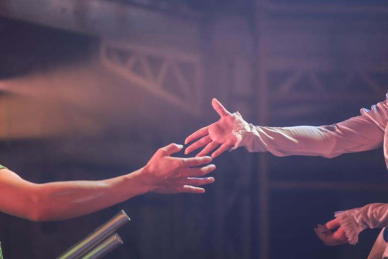 Kyoto: biglietti per spettacoli teatrali non verbali presso GEAR