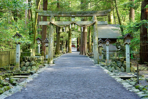 Vanuit Nagoya: de heilige heiligdommen en betoverende kusten van Ise