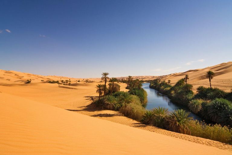 Från Agadir/Taghazout: Sahara sanddyner med transfer