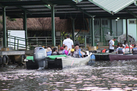 From SanJosé: 3-Day Tortuguero National Park Tour with Meals