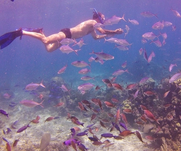 Catalina Island Full-Day Snorkeling