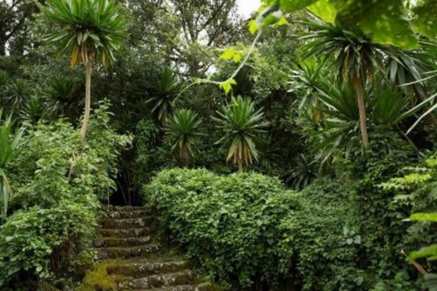 Ancient Kings, Buhanga Sacred Forest & Musanze Caves Tour