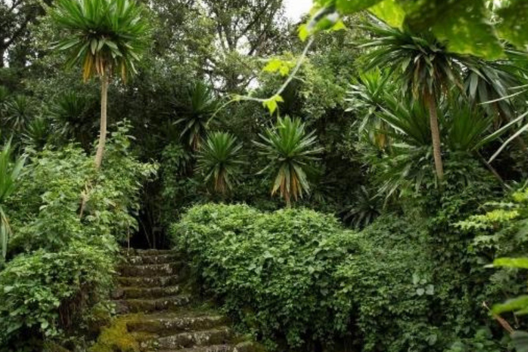 Ancient Kings, Buhanga Sacred Forest & Musanze Caves Tour