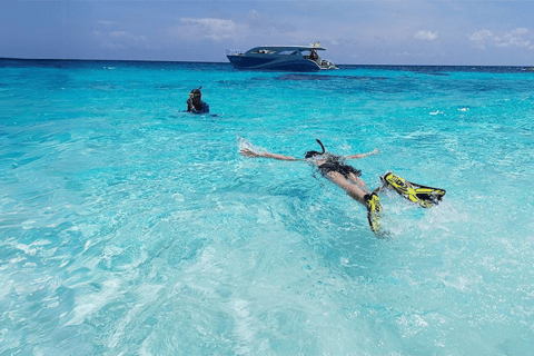 Phuket: Isola di Raya, Isola di Maithon e tour di avvistamento dei delfini