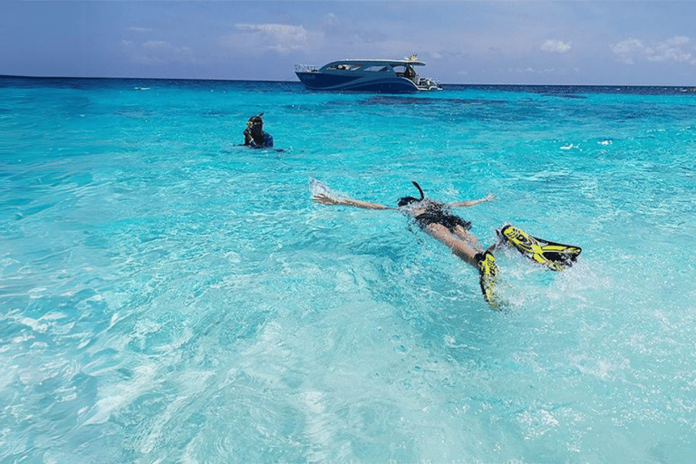 Phuket: Isola di Raya, Isola di Maithon e tour di avvistamento dei delfini