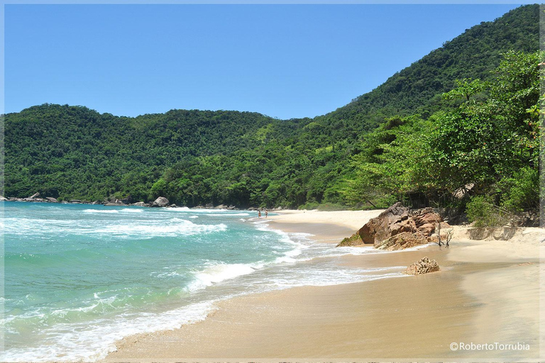 Paraty: Trindade Village & Natural Pools Guided Tour