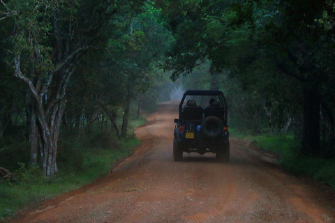 Sigiriya: Private Wilpattu National Park Safari Day Tour