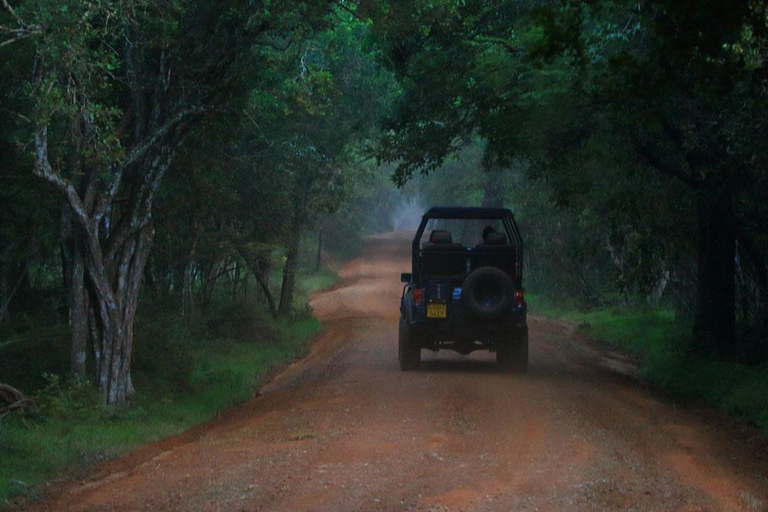 Sigiriya: Private Wilpattu National Park Safari Day Tour