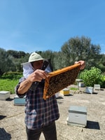 Kefalonia Honey Tour on E-Bikes - Housity