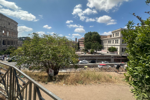 Small Group Guided Tour Colosseum Roman Forum, Palatine Hill Standard Tickets