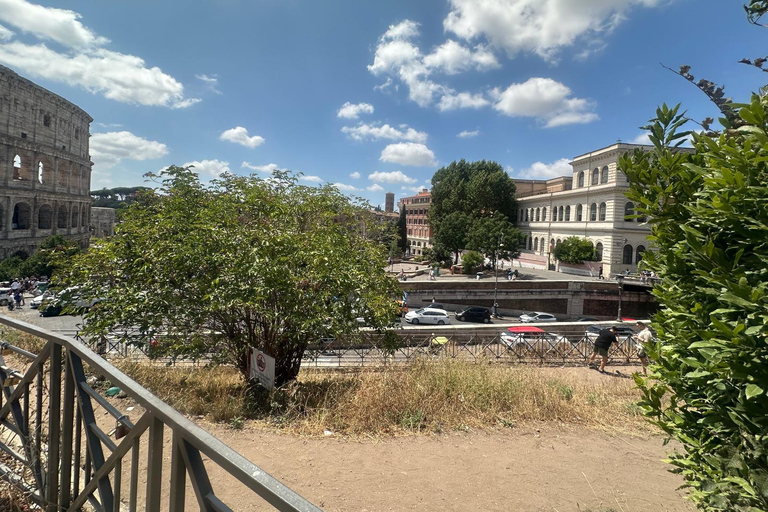 Small Group Guided Tour Colosseum Roman Forum, Palatine Hill Standard Tickets